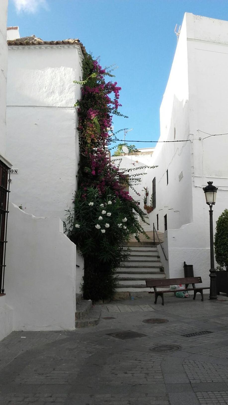 Casa Calle Alta Maria Bajo เวเฮร์ เด ลา ฟรอนเตรา ภายนอก รูปภาพ